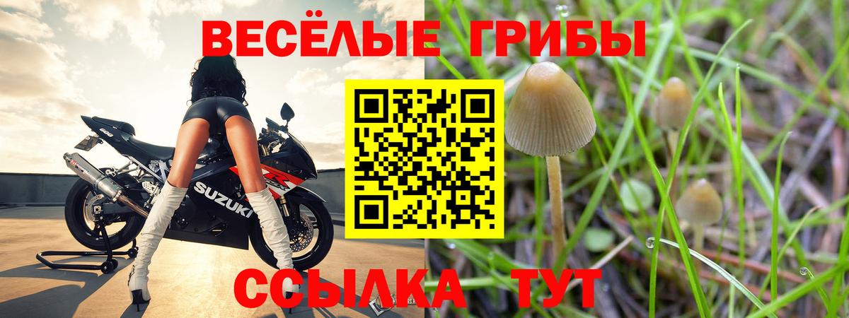 Баксан  Галлюциногенные грибы MAGIC MUSHROOMS  Вход с VPN 